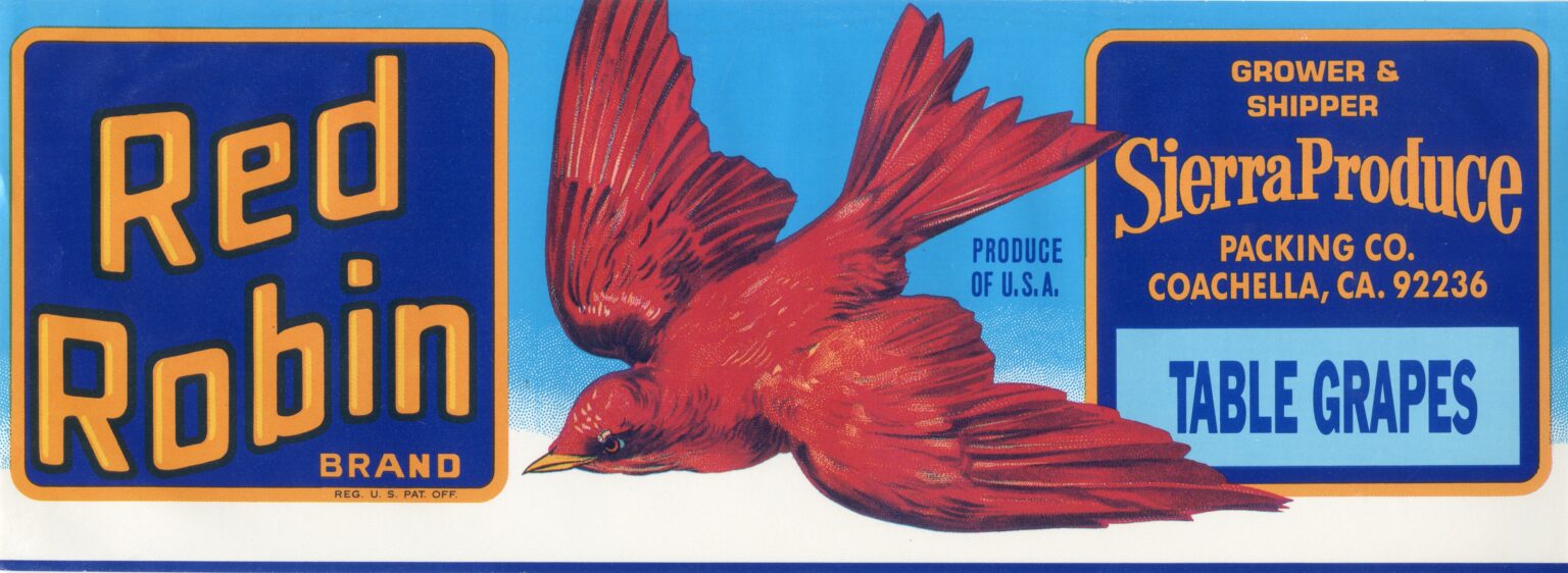Red Robin